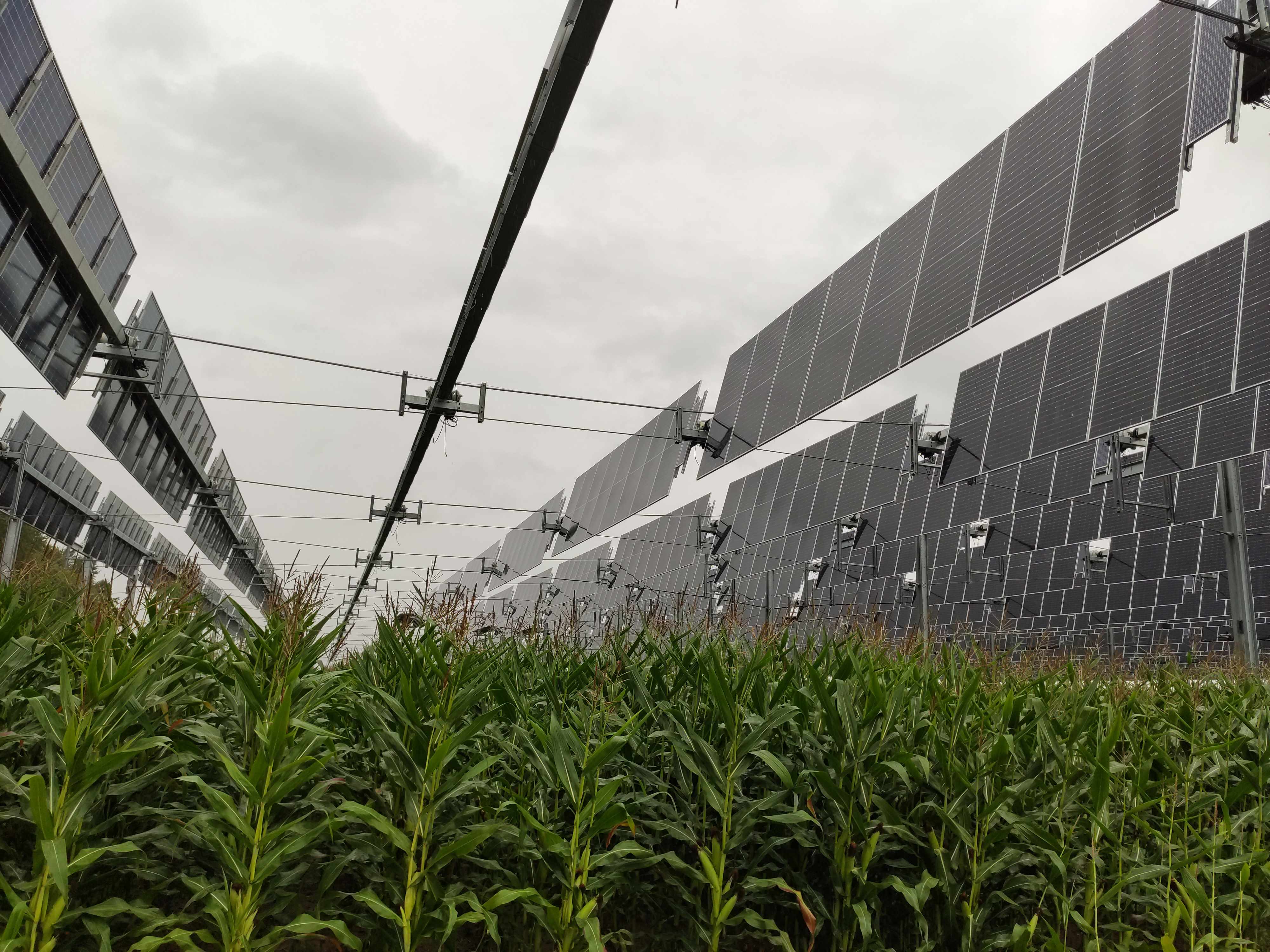 L'acteur de la semaine] Base intègre sa technologie thermovoltaïque  brevetée dans des séchoirs agricoles solaires – pv magazine France