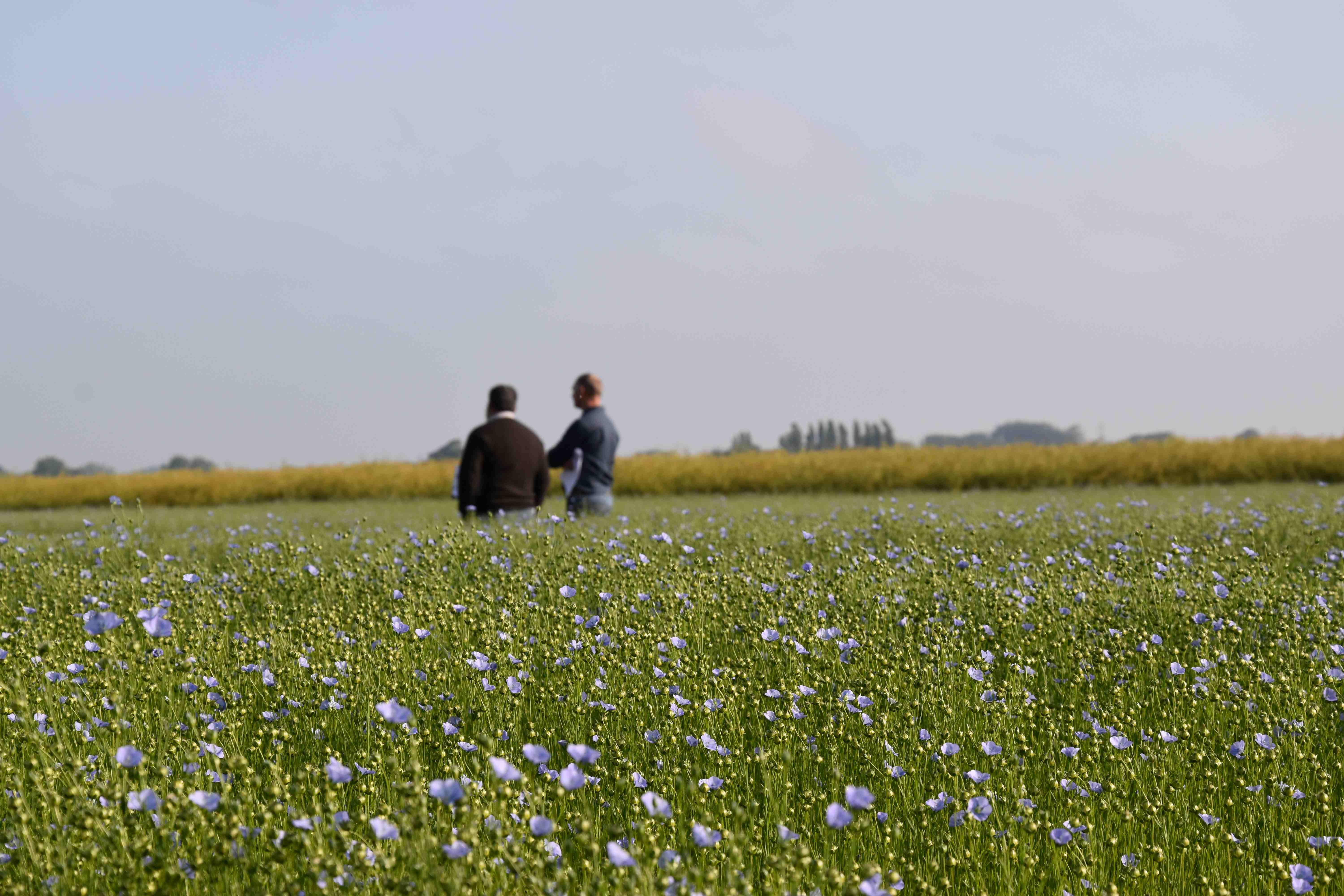 Un Observatoire De La Fertilité Perspectives Agricoles 6501