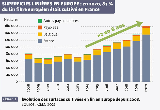 Tout savoir sur le lin européen