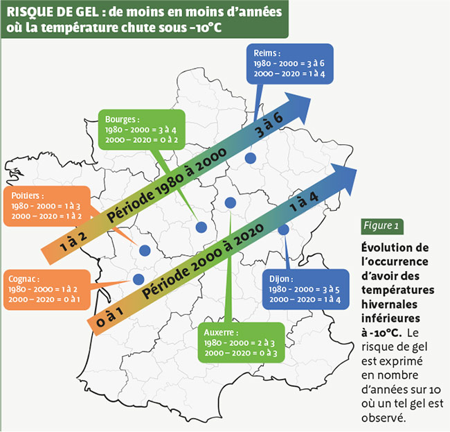 Semis de printemps : semer sans se planter - Greenweez magazine