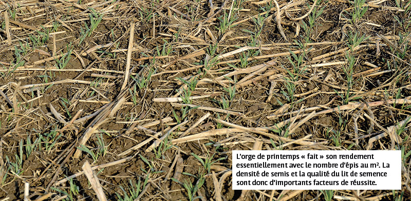 Semis de printemps : semer sans se planter - Greenweez magazine