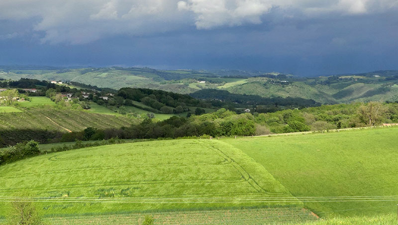 Blé, enjeux et perspectives - A2C le site de l'agriculture de