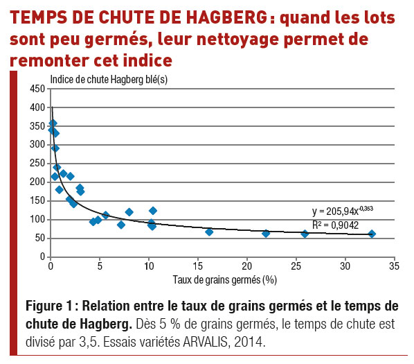 Les phases de la germination - Agronomie