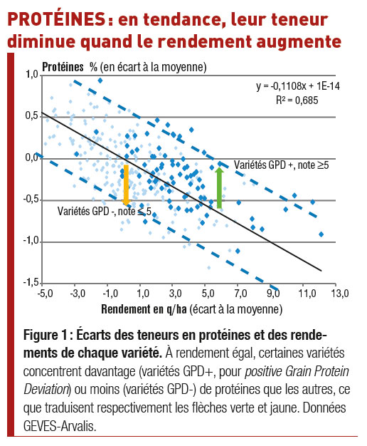 Hiérarchiser les critères de choix d'une variété de blé tendre