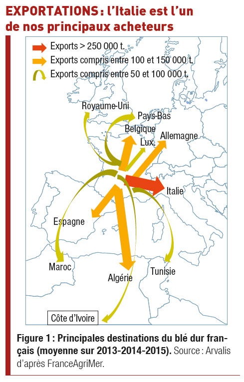 Quelles perspectives à l'international pour le blé tendre français