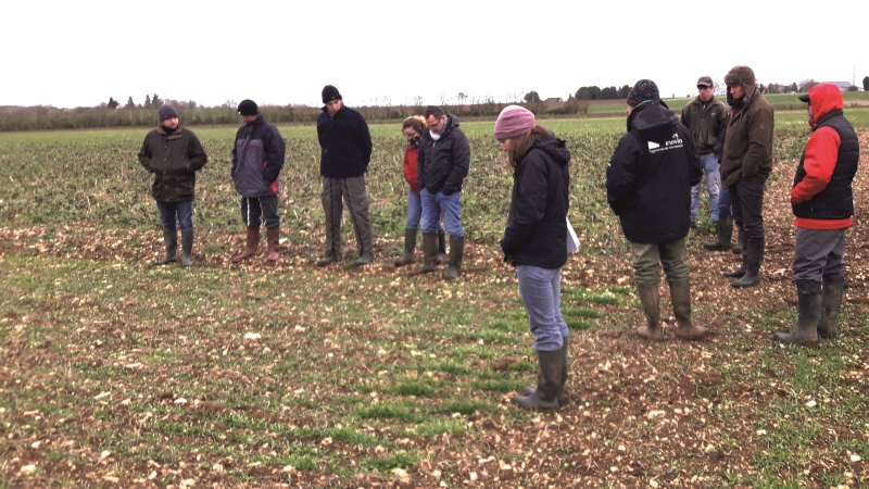 Un réseau d'agriculteurs du Berry tournés vers l'innovation au champ
