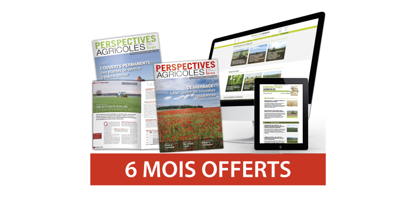 PREMIUM 12 + 6 mois offerts