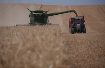 Le rendement du blé tendre français serait en hausse de 4,5 % par rapport à 2022.