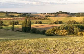 L’enquête menée auprès des DEA de sept établissements d’enseignement apporte des éclairages sociologiques sur les enjeux du changement climatique dans le monde agricole. 