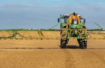 Près de 90 % des parcelles désherbées avec des substances actives racinaires d’automne ne présentent pas de dérive d’efficacité.