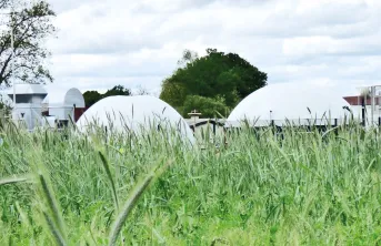 Les productions végétales destinées à la méthanisation ou aux filières biosourcées représentent un enjeu fort mais entrent en concurrence avec les autres usages de la biomasse agricole.