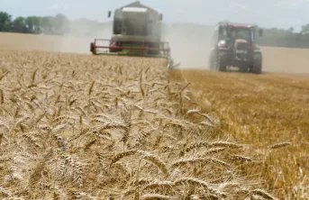 La baisse conjuguée des surfaces et des rendements moyens à l’échelle nationale a occasionné un net recul de la production française de blé tendre, à 25,8 millions de tonnes 1.