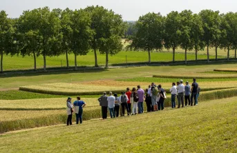 La « feuille de route carbone » fixe des objectifs chiffrés pour chaque maillons de la filière des grandes cultures, tel que prévu par la loi Énergie-Climat de 2019.   