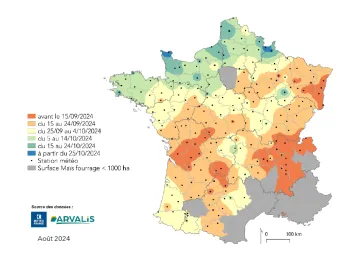 Carte 2 : Estimation au 12/08//2024 de la date de récolte en France pour le deuxième créneau de semis 2024. (Utilisation des données météo médianes.)