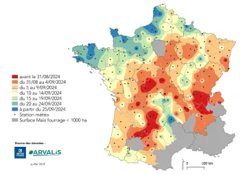 Carte 1 : Estimation de la date de récolte en France pour le premier créneau de semis 2024, au 26/07/2024 (utilisation des données météo médianes)