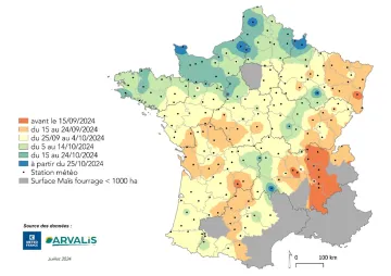 Carte 2 : Estimation de la date de récolte en France pour le second créneau de semis 2024, au 26/07/2024 (utilisation des données météo médianes)