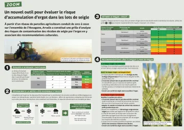 Zoom sur l'ergot