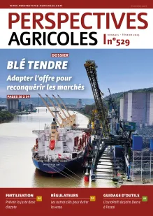 Blé tendre : adapter l’offre pour reconquérir les marchés