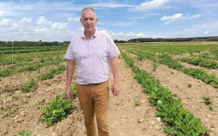 « Après deux ans d’essais, il semble que l’offre climatique en Charente soit adaptée à la cacahuète. La gestion du désherbage est la principale difficulté que je rencontre », témoigne Christian Daniau, agriculteur.