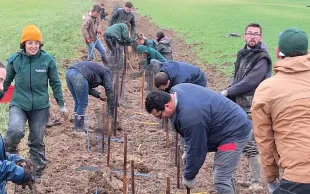L’implantation d’une haie agricole - ici entre deux parcelles de la station Arvalis de La Jaillière (44) - se planifie avec soin et mobilise de la main-d’œuvre.