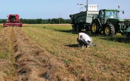 Si un chef d’exploitation est également salarié d’une CUMA, il sera automatiquement rattaché au régime de son activité principale, à savoir la plus ancienne. Mais il peut changer en faisant valoir son droit d’option.  