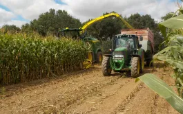 ensileuse dans le mais et benne