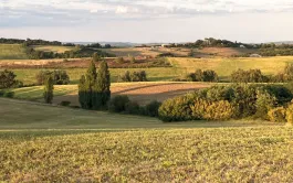 L’enquête menée auprès des DEA de sept établissements d’enseignement apporte des éclairages sociologiques sur les enjeux du changement climatique dans le monde agricole. 