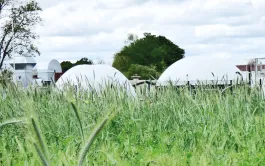 Les productions végétales destinées à la méthanisation ou aux filières biosourcées représentent un enjeu fort mais entrent en concurrence avec les autres usages de la biomasse agricole.