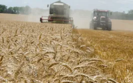 La baisse conjuguée des surfaces et des rendements moyens à l’échelle nationale a occasionné un net recul de la production française de blé tendre, à 25,8 millions de tonnes 1.