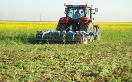 Scores environnementaux des biodiesels de colza et de tournesol.