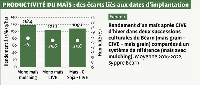 PRODUCTIVITé DU MAÏS : des écarts liés aux dates d’implantation