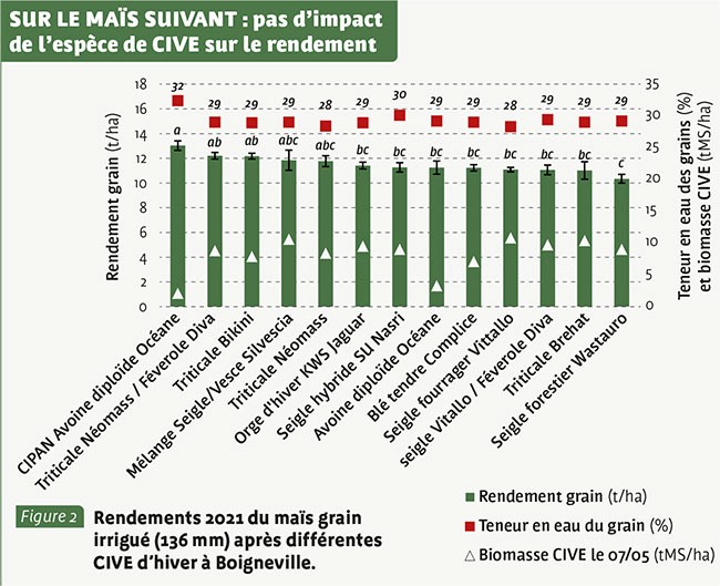 SUR LE MAÏS SUIVANT : pas d’impact de l’espèce de Cive sur le rendement