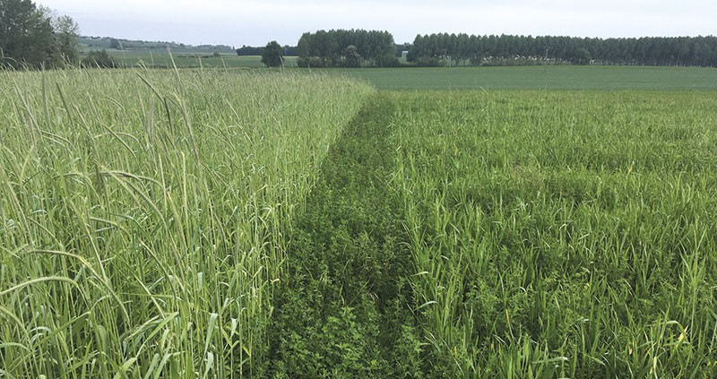 Les CIVE consomment une large part du RU et plus leur récolte est tardive, plus celui-ci est entamé.