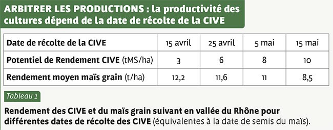 ARBITRER LES PRODUCTIONS : la productivité des cultures dépend de la date de récolte de la CIVE