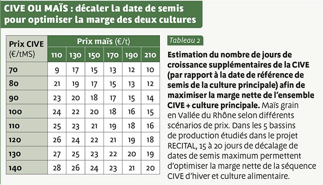 CIVE OU MAÏS : décaler la date de semis pour optimiser la marge des deux cultures