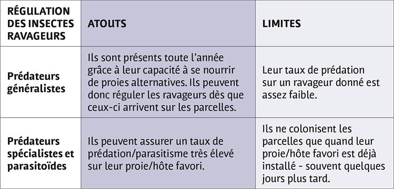 INVERTÉBRÉS AUXILIAIRES : ils diminuent les populations d’insectes ravageurs