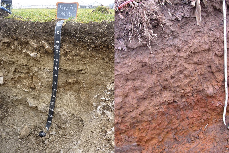 Deux profils de sol : à gauche, groie moyenne sur calcaire marneux ; à droite, doucin limoneux profond. Malgré la proximité géographique entre les deux parcelles de Charente-Maritime, ces deux sols ont des capacités différentes : recyclage de nutriments, de comportement face aux excès d’eau ou de sècheresse. Les risques de dégradation ne seront également pas les mêmes. Ainsi, l’interprétation des mesures, et les actions à mettre en place pour une gestion durable des sols, peuvent différer entre les deux parcelles.