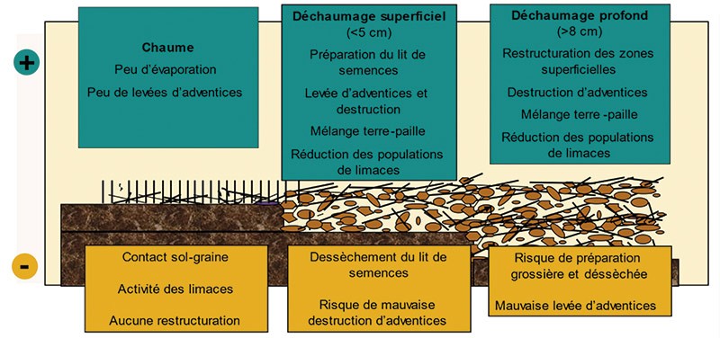 DÉCHAUMAGE : atouts et limites