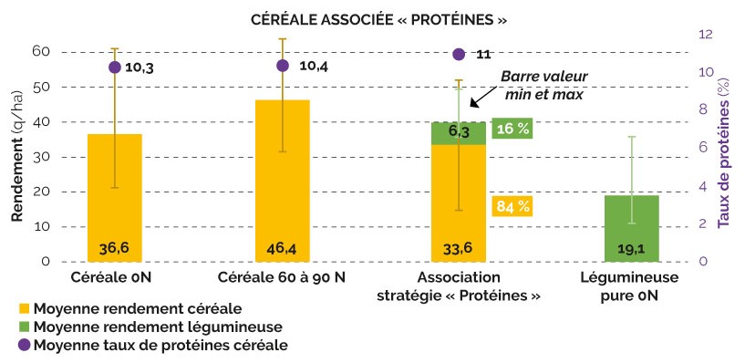 STRATÉGIE « PROTÉINES » : l’objectif est atteint et la productivité, améliorée