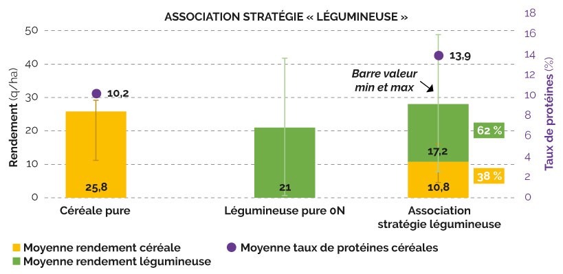 STRATÉGIE « LÉGUMINEUSE » : une récolte sécurisée et une céréale enrichie en protéines