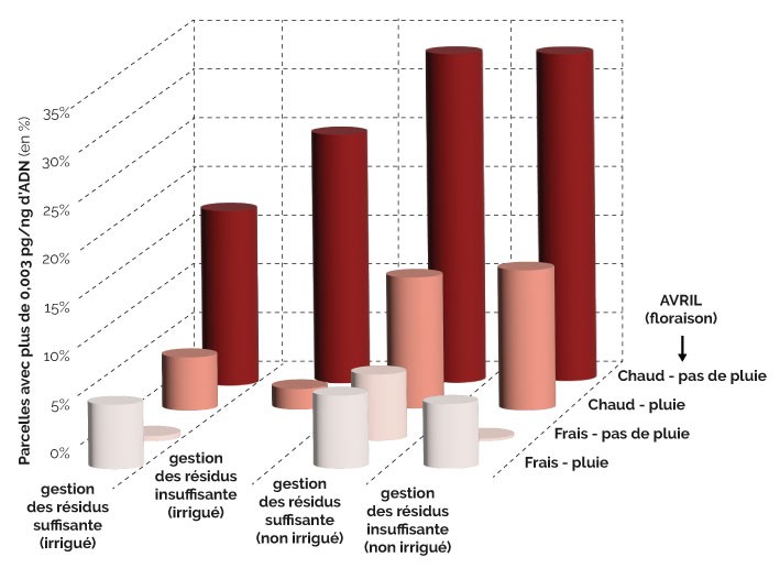 CONTAMINATION PAR ASPERGILLUS : du simple au sextuple selon les situations