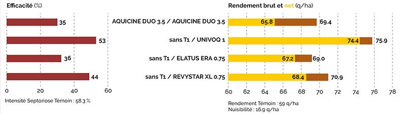 SDHI+IDM : dans le contexte de 2024, l’efficacité des solutions actuelles est mise à mal 