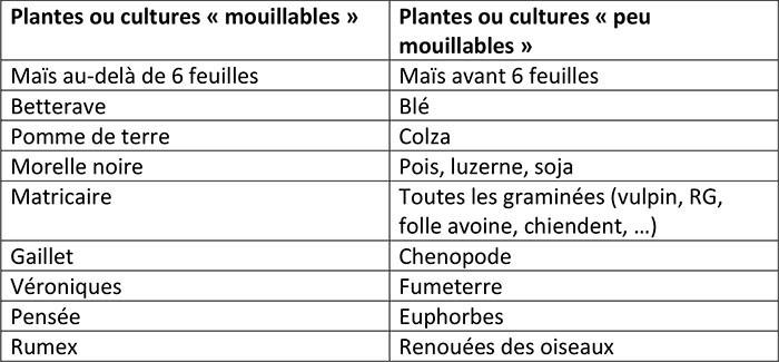 Produits « mouillable » : à réserver aux plantes « mouillables »