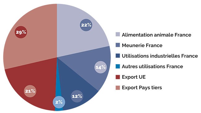 Blé Français : utilisation hexagonale à 49%