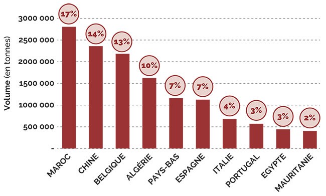 à l'export : Maroc et Chine en tête