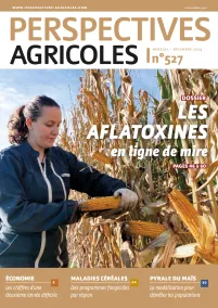 Les aflatoxines en ligne de mire